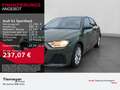 Audi A1 25 TFSI ADVANCED SITZHZG PDC SPORTS Grün - thumbnail 1