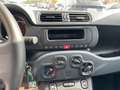 Fiat Panda 1.0 FireFly S&S Hybrid Blu/Azzurro - thumbnail 21