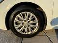 Kia Ceed / cee'd 1,6 CRDi Titan 110PS mit Klima BluetoothFreisprech Weiß - thumbnail 16