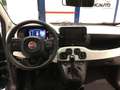 Fiat Panda S9 1.0  Hybrid Pandina - PROMO MESE + TARGA Grün - thumbnail 11
