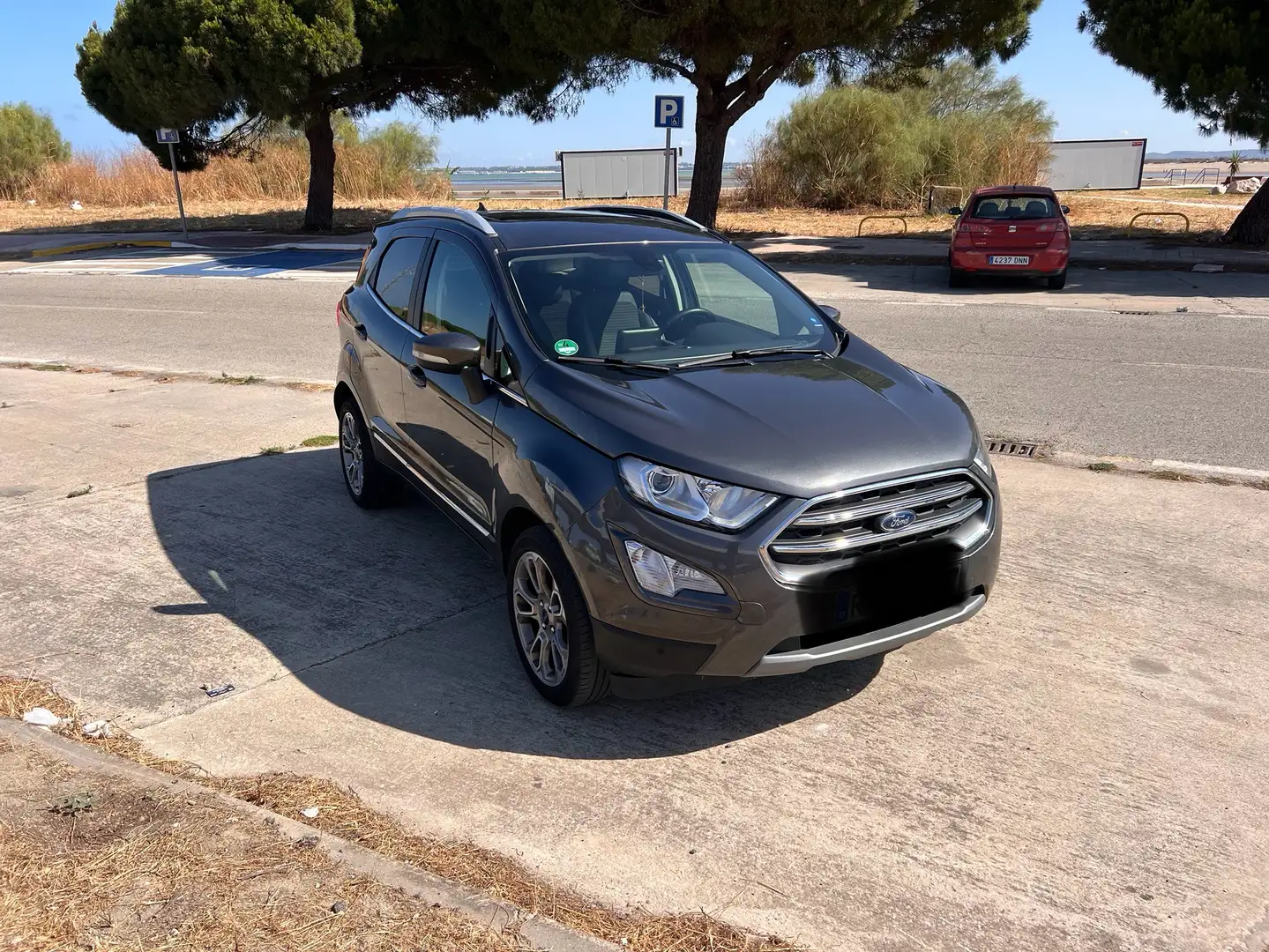 Ford EcoSport Bronce - 1
