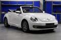 Volkswagen Beetle Cabriolet 1.2 TSI Allstar Navi Clima Half leder Ca Blanc - thumbnail 3
