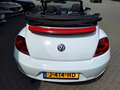 Volkswagen Beetle Cabriolet 1.2 TSI Allstar Navi Clima Half leder Ca Blanc - thumbnail 24