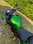 Kawasaki Z 300 akropovic uitlaat en sticker pack Verde - thumbnail 12