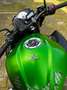 Kawasaki Z 300 akropovic uitlaat en sticker pack Verde - thumbnail 5