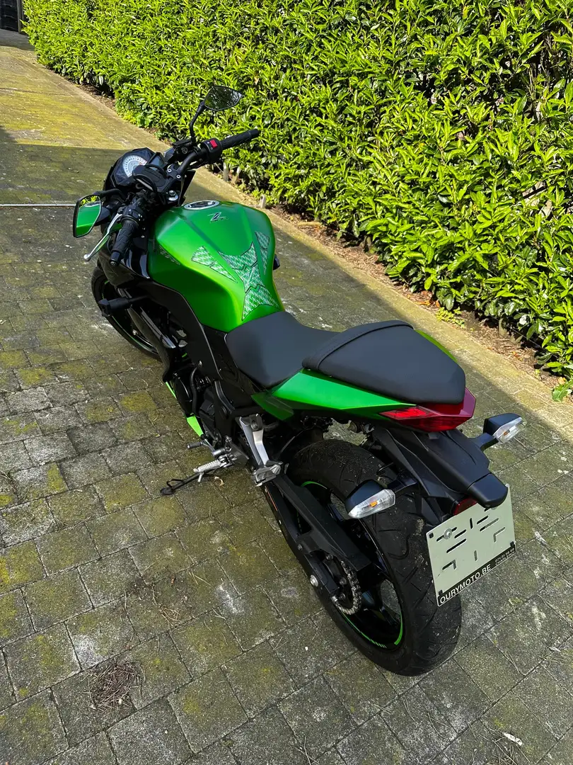 Kawasaki Z 300 akropovic uitlaat en sticker pack Verde - 2