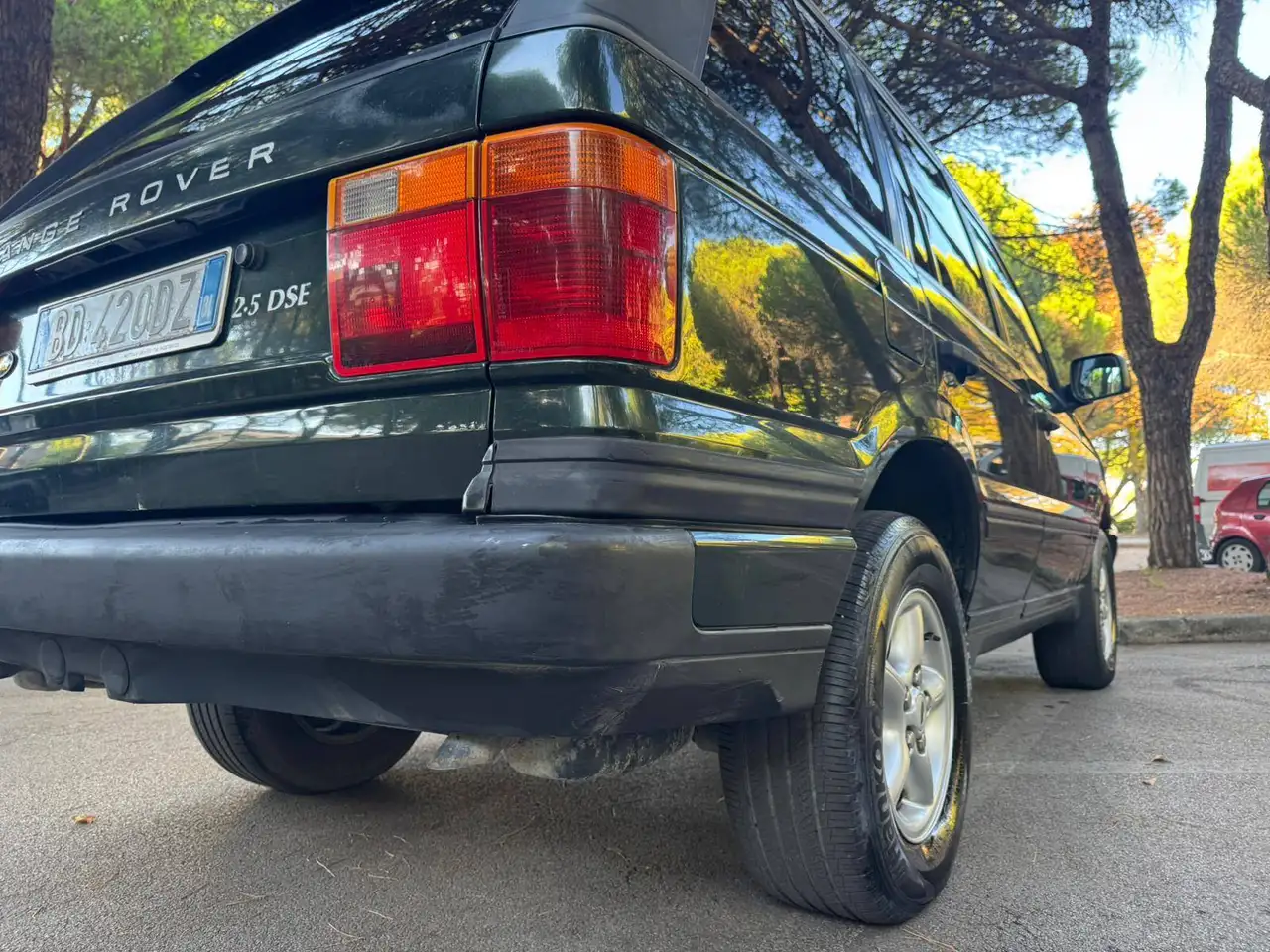 Land Rover Range Rover II 1994 2.5 td DSE, foto 11