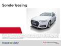 Audi A4 Avant 40 TDI qu. AHK HuD Matrix 360° Weiß - thumbnail 1