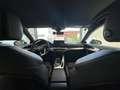 Audi A5 A5 SB 40 TFSI quattro S-tronic S-line | ACC | Matrix | Virtual Cockpit Grün - thumbnail 8