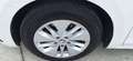 Skoda Octavia 2.0 TDI EVO SCR Wagon Executive N°GM617 Weiß - thumbnail 12