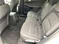 Ford Kuga 2.5 Duratec FHEV Hybrid Titanium AWD Bianco - thumbnail 13