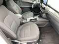 Ford Kuga 2.5 Duratec FHEV Hybrid Titanium AWD Bianco - thumbnail 11