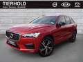 Volvo XC60 B5 R Design AWD Luftfw ACC HUD Standhz PANO Rot - thumbnail 2