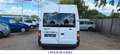 Ford Transit FT 280 M City Light/Tüv +Insp. NEU Blanc - thumbnail 4