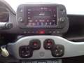 Fiat Panda Panda Cross 1.0 FireFly S&S Hybrid Grau - thumbnail 14