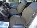 Fiat Panda Panda Cross 1.0 FireFly S&S Hybrid Grau - thumbnail 9