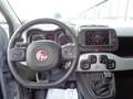 Fiat Panda Panda Cross 1.0 FireFly S&S Hybrid Grau - thumbnail 13