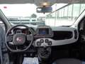 Fiat Panda Panda Cross 1.0 FireFly S&S Hybrid Grau - thumbnail 12