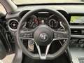 Alfa Romeo Stelvio 2.2 Turbodiesel 190 CV AT8 Q4 Business Grau - thumbnail 9