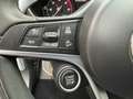 Alfa Romeo Stelvio 2.2 Turbodiesel 190 CV AT8 Q4 Business Grigio - thumbnail 15