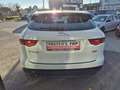 Jaguar F-Pace 20d AWD Pure Aut. Weiß - thumbnail 6