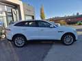 Jaguar F-Pace 20d AWD Pure Aut. Weiß - thumbnail 4