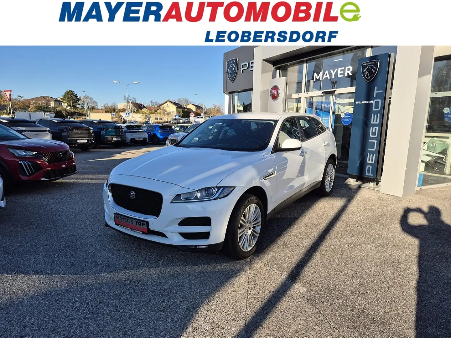 Jaguar F-Pace 20d AWD Pure Aut. Blanc - 1