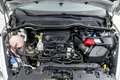 Ford Fiesta 1.0 EcoBoost S/S Trend 95 Gris - thumbnail 33