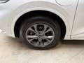 Ford Kuga Plug-In Hybrid ST-Line X AHK Weiß - thumbnail 6