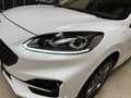 Ford Kuga Plug-In Hybrid ST-Line X AHK Weiß - thumbnail 4