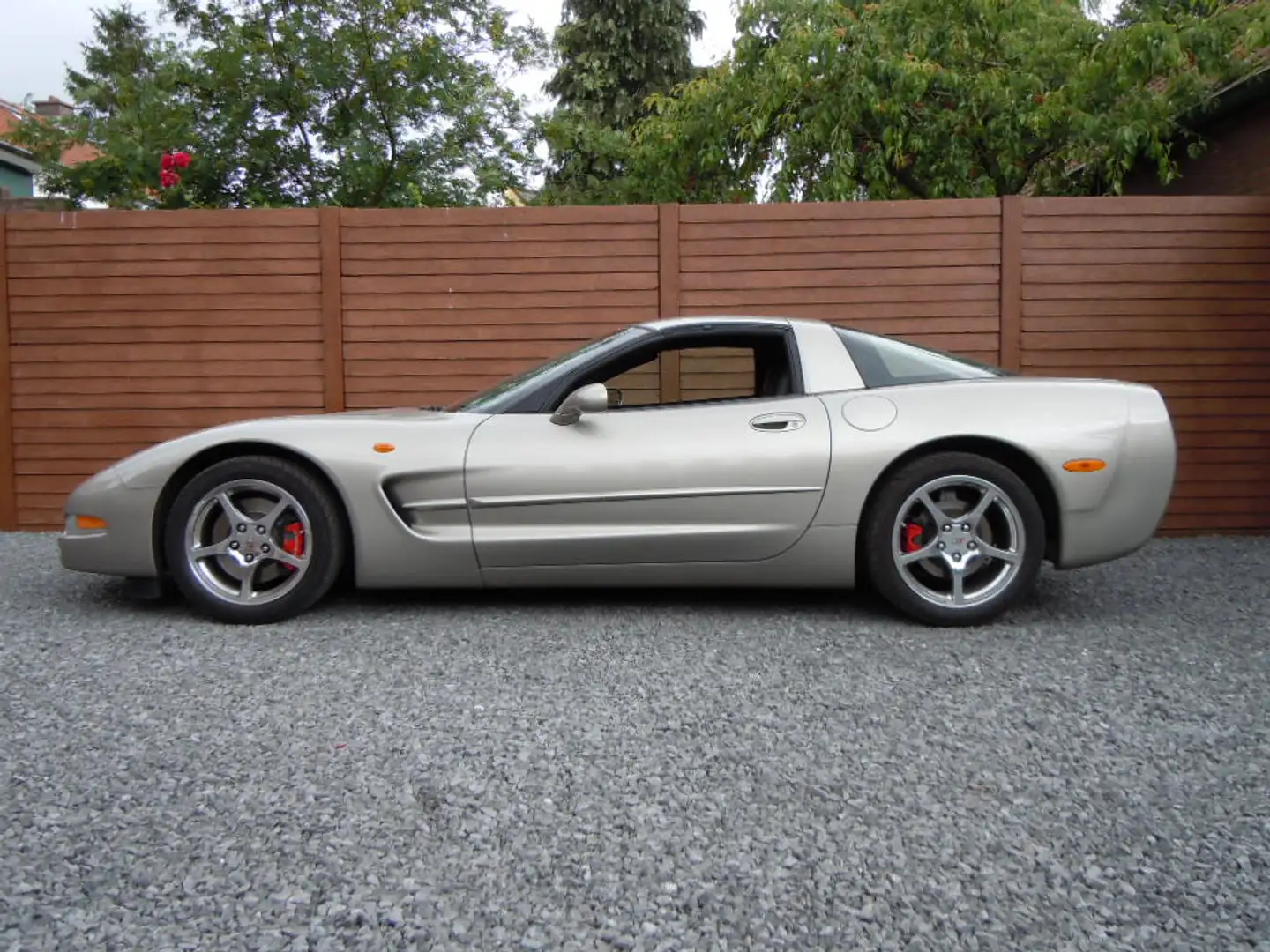 Corvette C5 Grau - 2