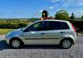 Ford Fiesta Fiesta 1.4 Turbo TDCi Trend Gris - thumbnail 9