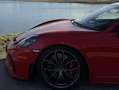 Porsche 718 GT4 | Approved, Inspektion Neu Rot - thumbnail 15