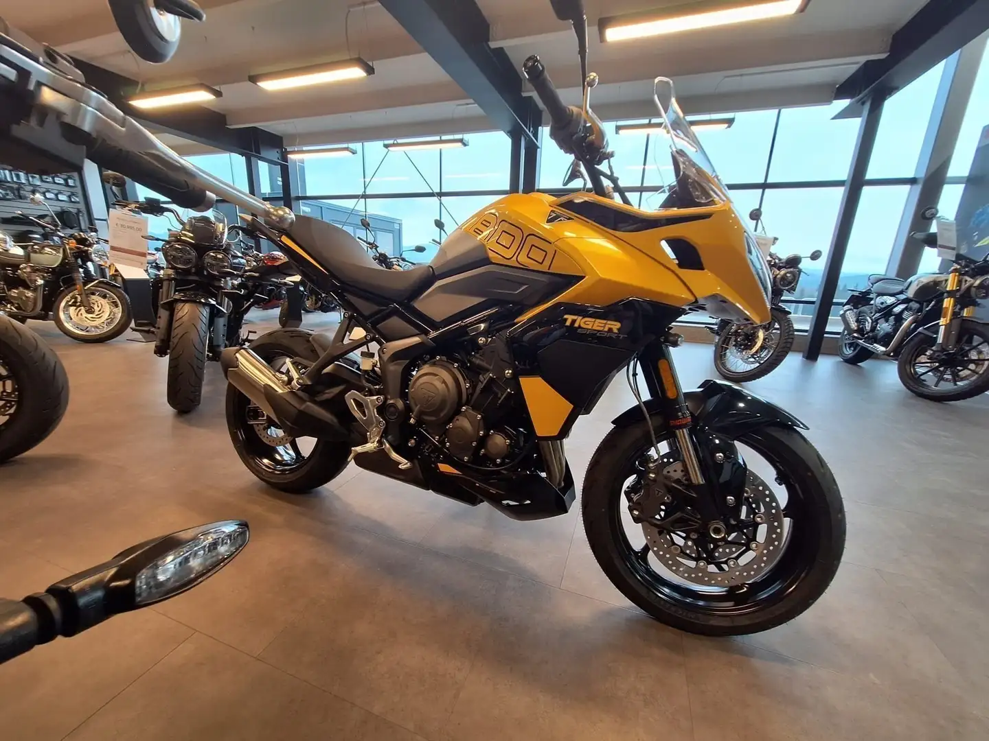 Triumph Tiger Sport Geel - 1