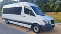 Mercedes-Benz Sprinter 316 CDI (BlueTec) 906.733 BlueEFFICIENCY - thumbnail 4