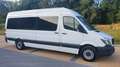 Mercedes-Benz Sprinter 316 CDI (BlueTec) 906.733 BlueEFFICIENCY - thumbnail 5