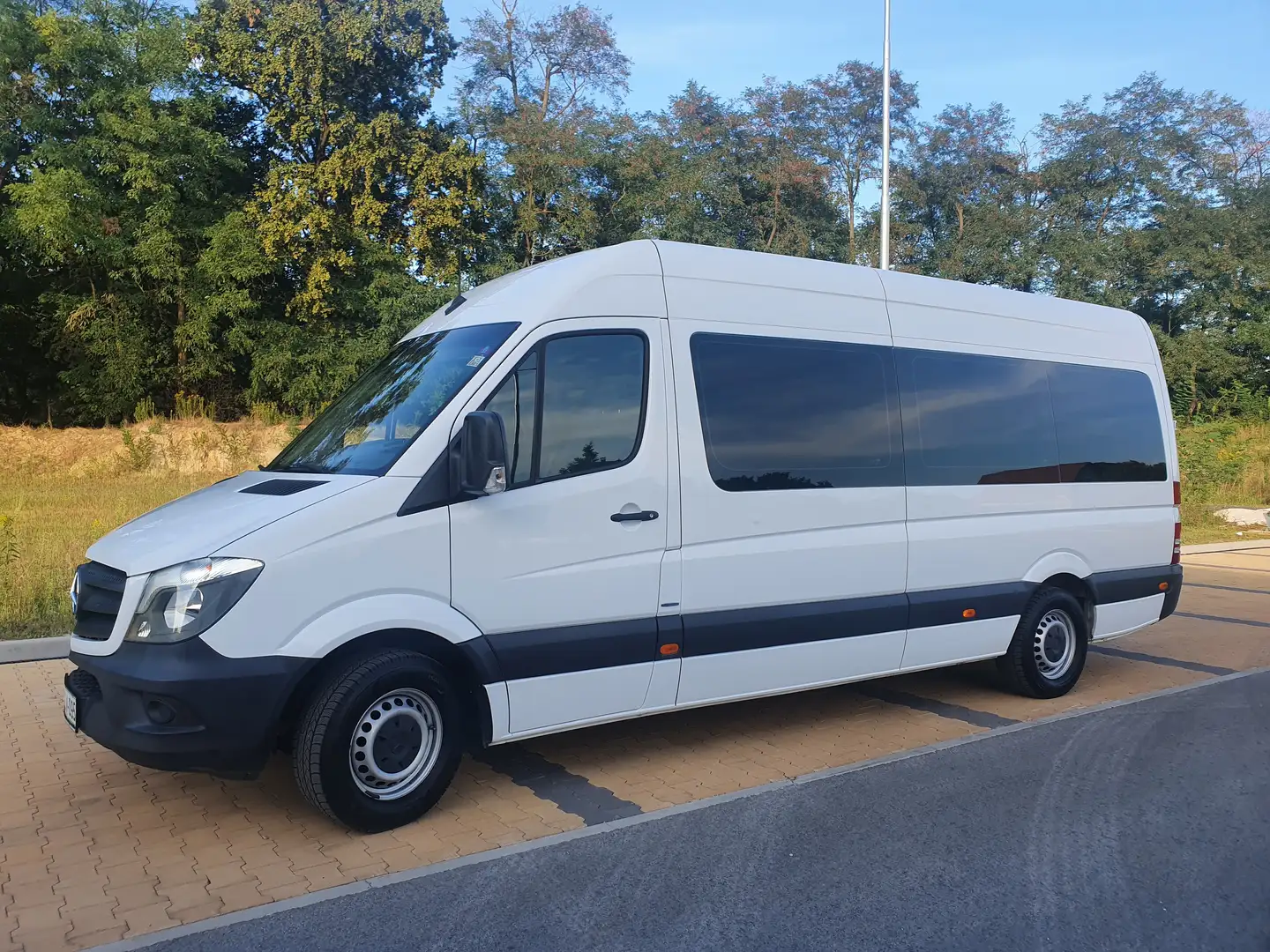 Mercedes-Benz Sprinter 316 CDI (BlueTec) 906.733 BlueEFFICIENCY - 2