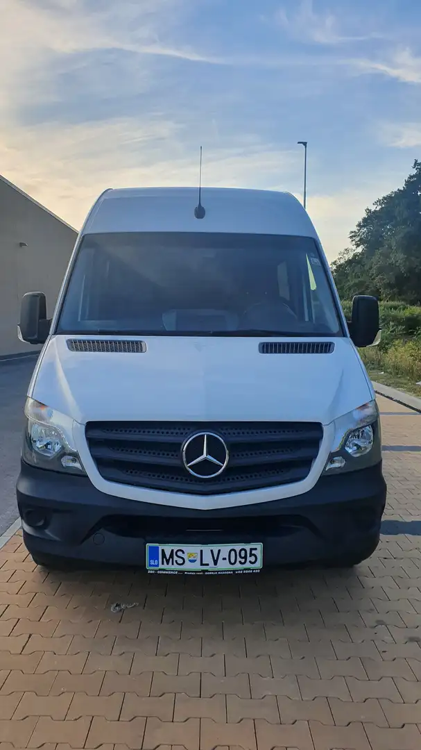 Mercedes-Benz Sprinter 316 CDI (BlueTec) 906.733 BlueEFFICIENCY - 1