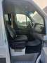 Mercedes-Benz Sprinter 316 CDI (BlueTec) 906.733 BlueEFFICIENCY - thumbnail 11