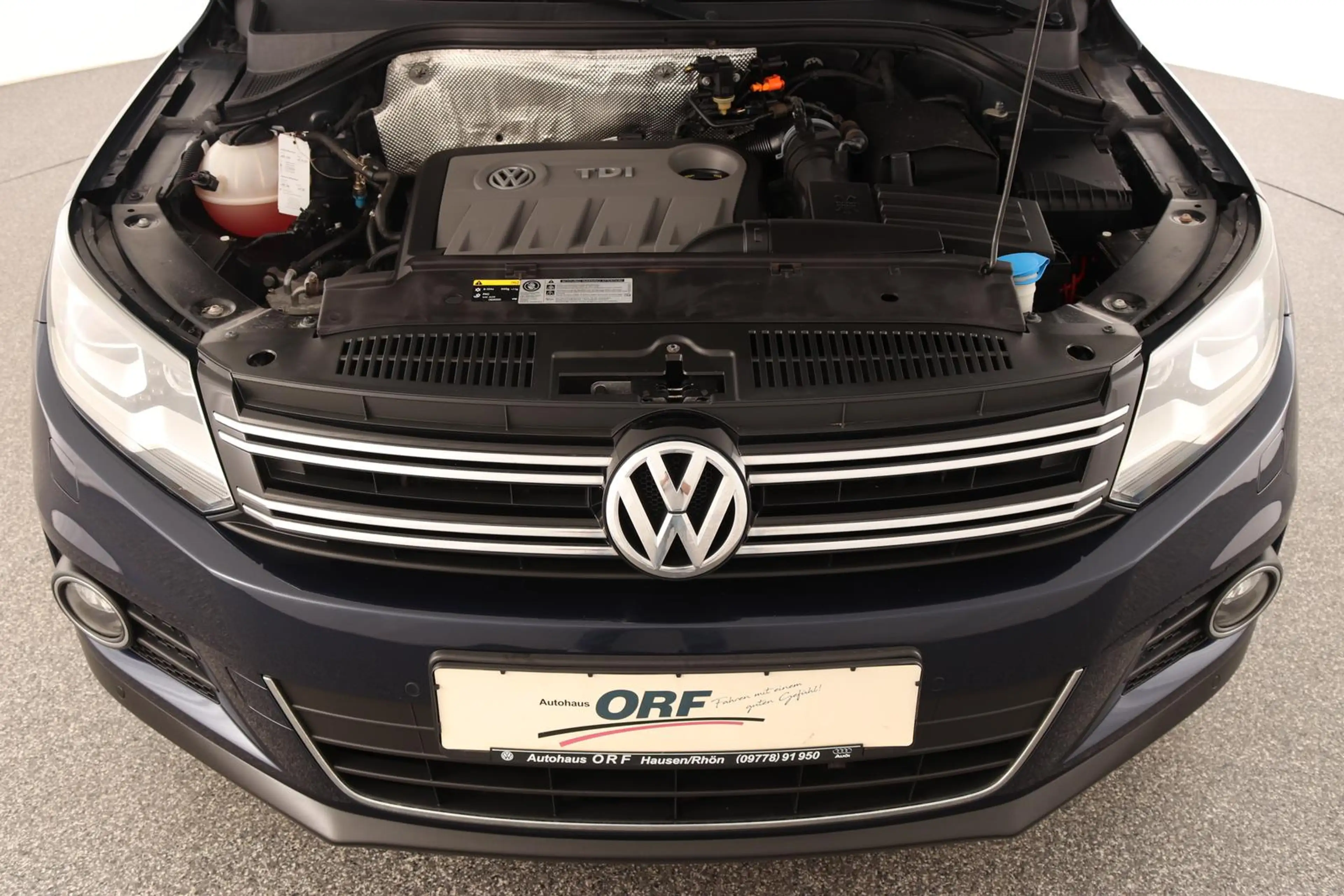 Volkswagen Tiguan 2.0 TDI Life 4Motion DSG AHK BI-XENON KLIMA CLARIO — photo 8