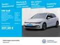 Volkswagen Golf VIII 2.0 TDI DSG Weiß - thumbnail 1