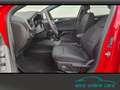 Ford Focus ST-Line X Turnier ACC*Totwinkel*4J.Gar. Rot - thumbnail 13