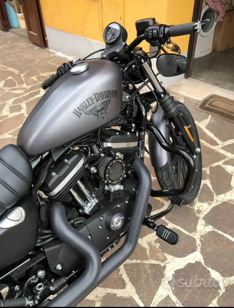 Harley-Davidson Iron 883 XL 883n iron Szary - 2