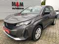 Peugeot 3008 Active Pack Nav/LED/Kamera/AHK/Sh/Assistenz Grau - thumbnail 20