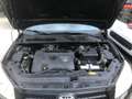 Toyota RAV 4 RAV4 2.2 d-4d Luxury 136cv Nero - thumbnail 9