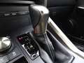 Lexus NX 300 Hybrid 4WD F-Sport Gris - thumbnail 27