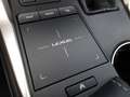 Lexus NX 300 Hybrid 4WD F-Sport Gris - thumbnail 29
