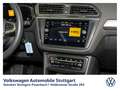 Volkswagen Tiguan 2.0 TDI R-Line DSG Kamera AHK P-Dach Weiß - thumbnail 7