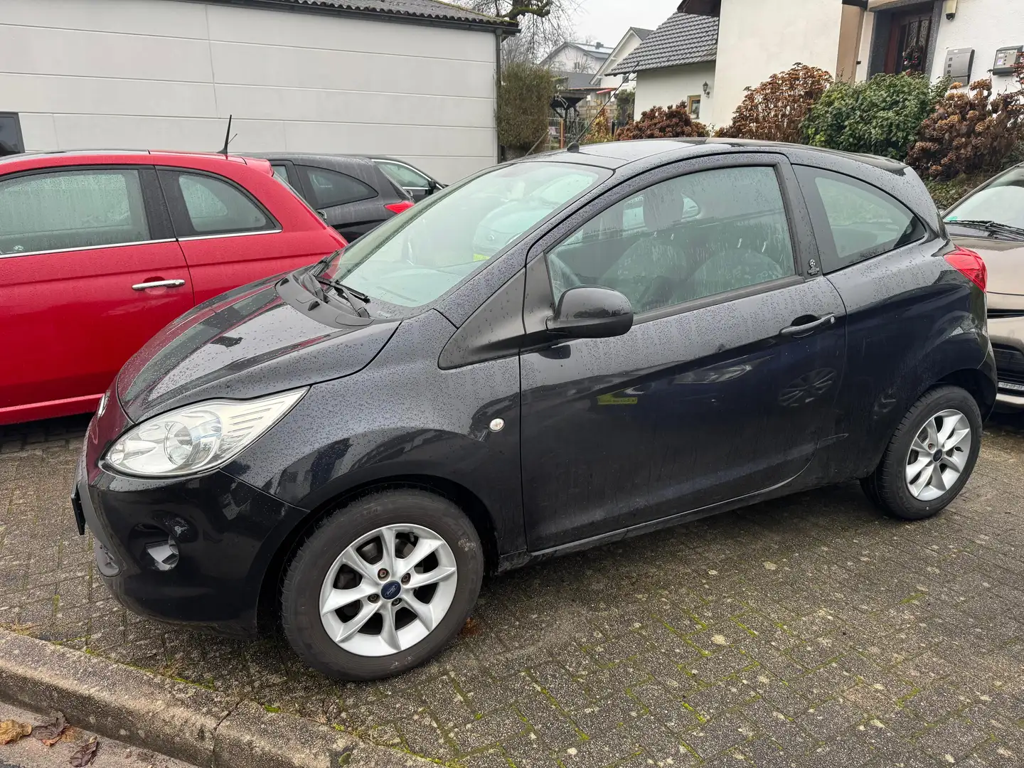 Ford Ka/Ka+ Champions Edition Klima Scheckheft 1st Hand Negro - 2