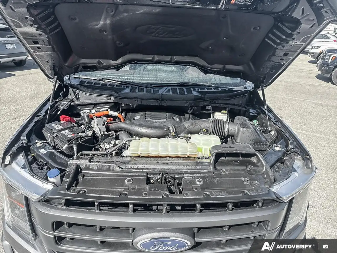 Ford F 150 photo Ford F 150